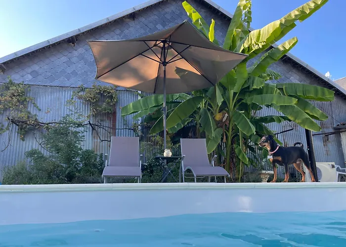 Bed & Breakfast La Maison De Maitre Chagnon